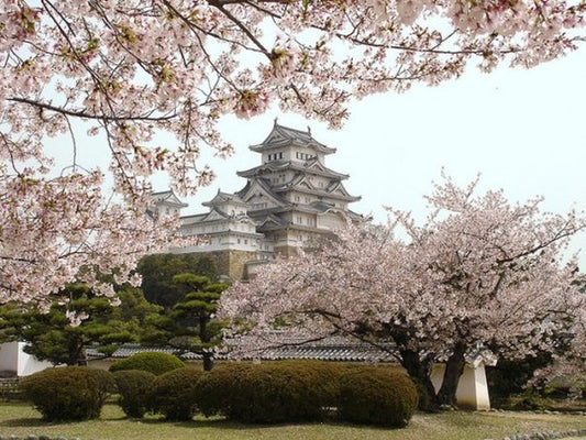 Castle Spotlight, Himeji Castle, Japan